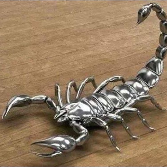 doggy007